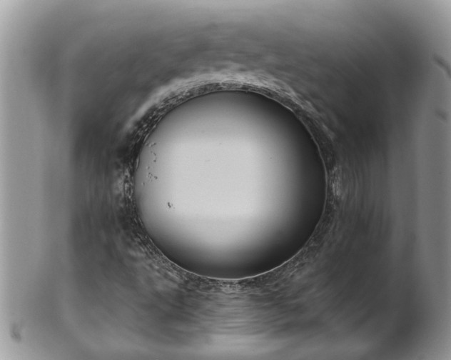 X0000101981495200807251222