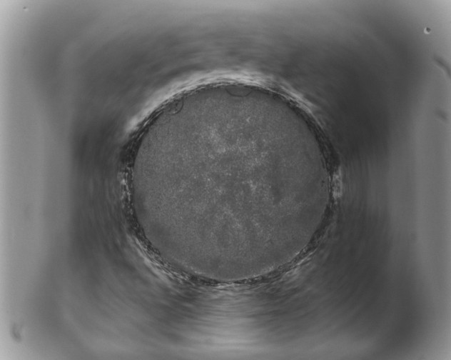 X0000101981496200807251222