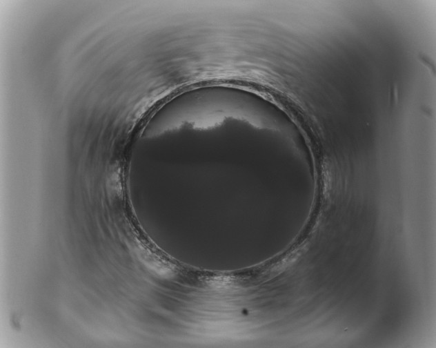 X0000101981497200807251222