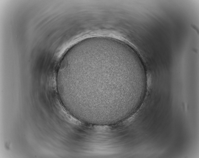 X0000101981498200807251222