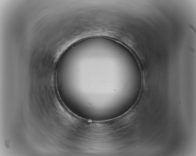 X0000101981500200807251222