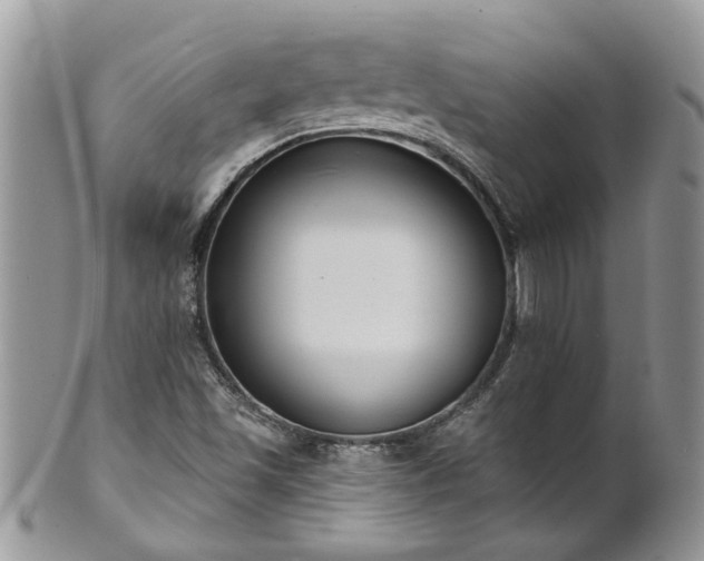 X0000101981501200807251222