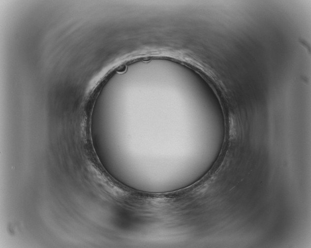 X0000101981502200807251222