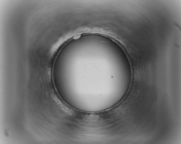 X0000101981503200807251222