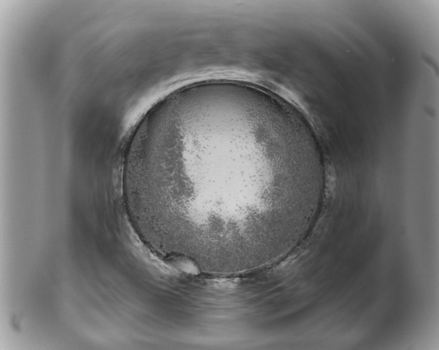 X0000101981504200807251222