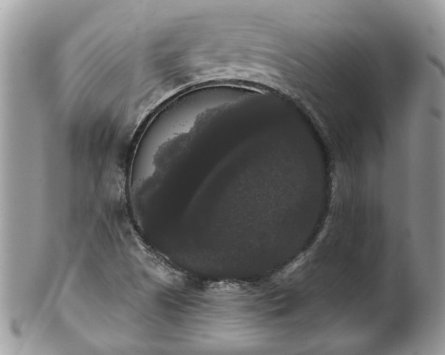 X0000101981505200807251222