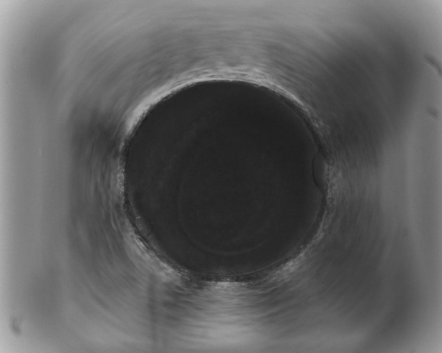 X0000101981506200807251222