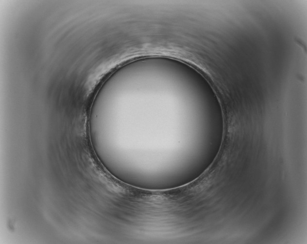 X0000101981507200807251222