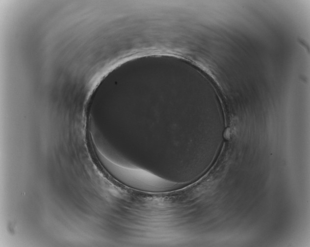 X0000101981508200807251222