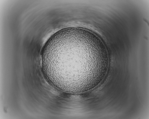 X0000101981509200807251222