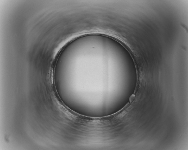 X0000101981510200807251222