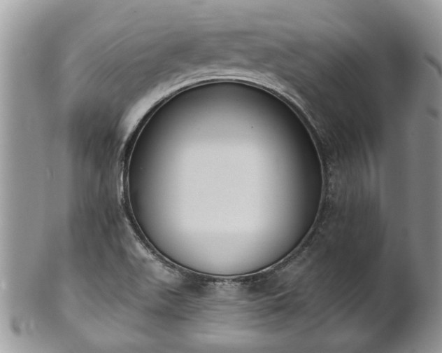 X0000101981511200807251222