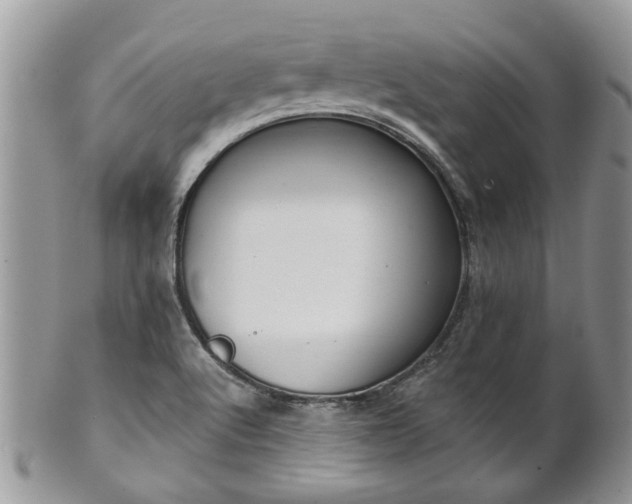 X0000101981512200807251222