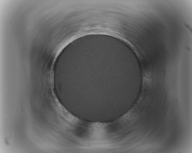 X0000101981514200807251222