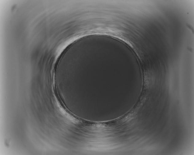 X0000101981515200807251222