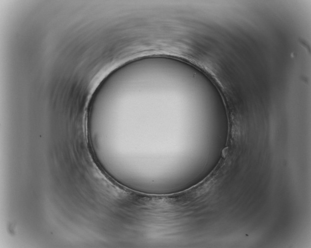 X0000101981516200807251222