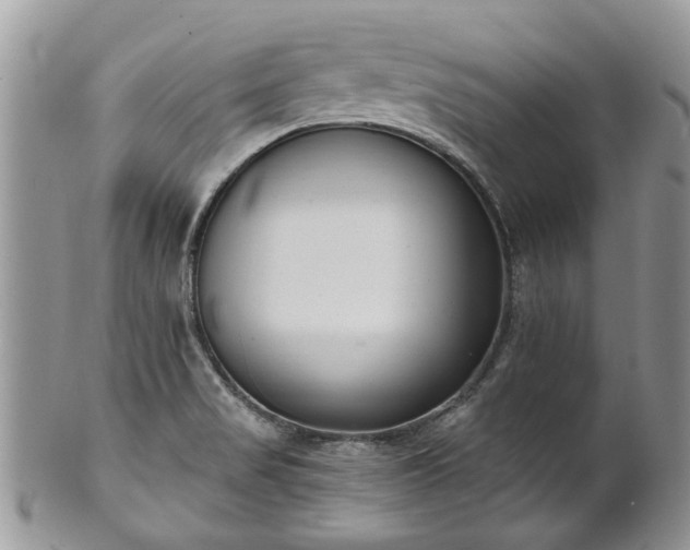 X0000101981517200807251222