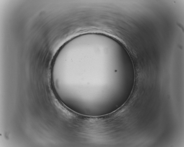 X0000101981518200807251222