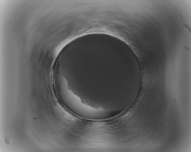 X0000101981519200807251222