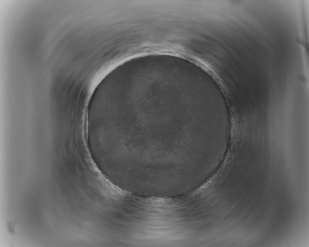 X0000101981520200807251222