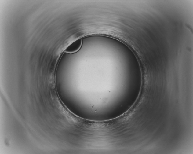 X0000101981521200807251222