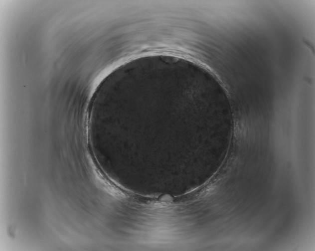 X0000101981522200807251222