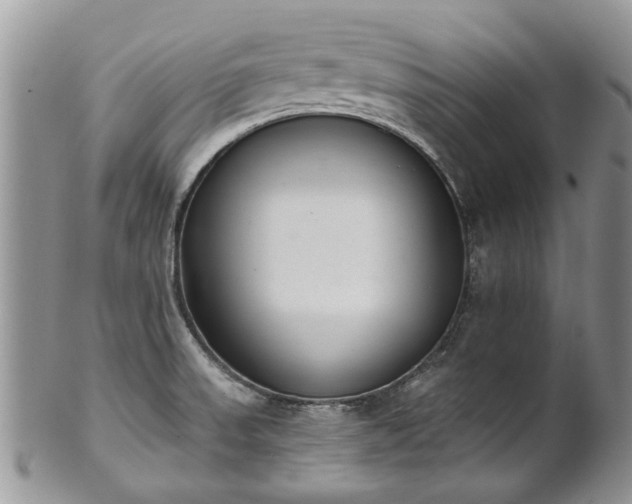 X0000101981523200807251222