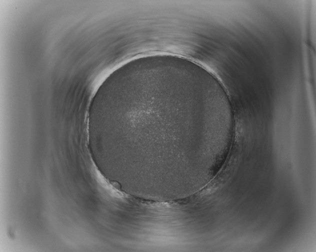 X0000101981524200807251222