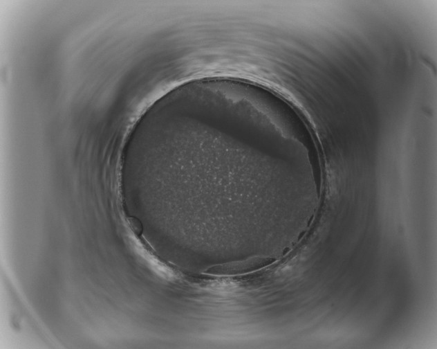 X0000101981525200807251222