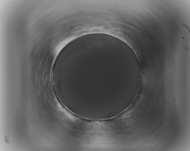 X0000101981527200807251222