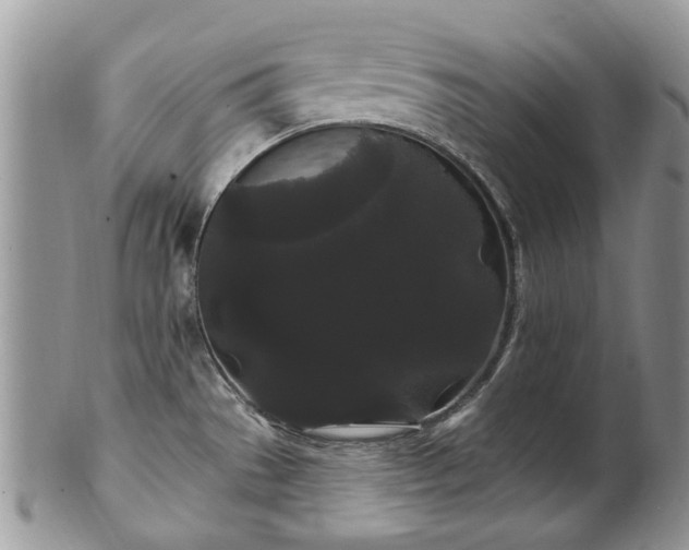 X0000101981529200807251222