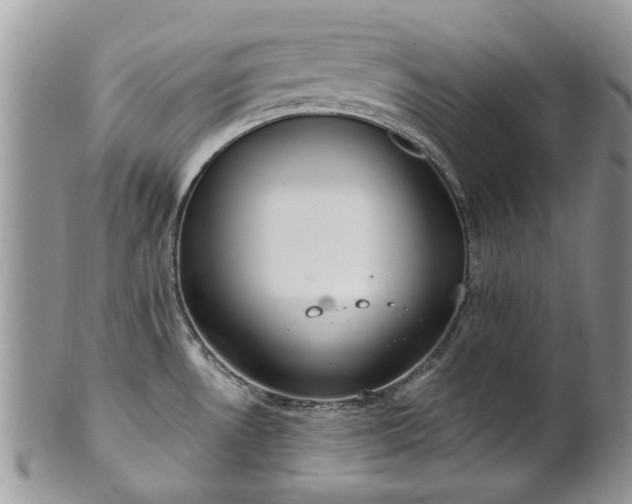 X0000101981530200807251222