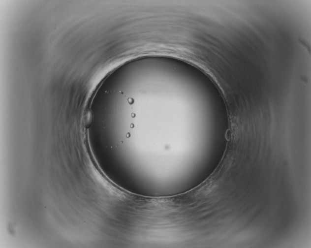 X0000101981531200807251222