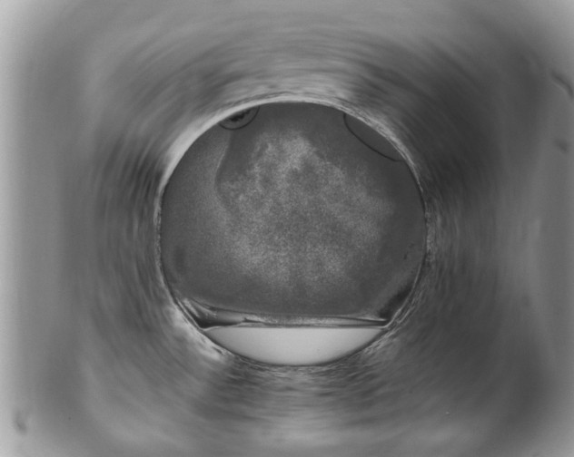 X0000101981532200807251222