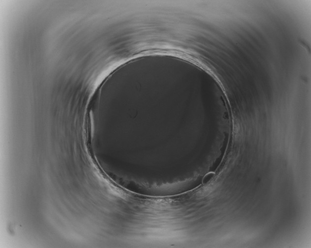 X0000101981533200807251222