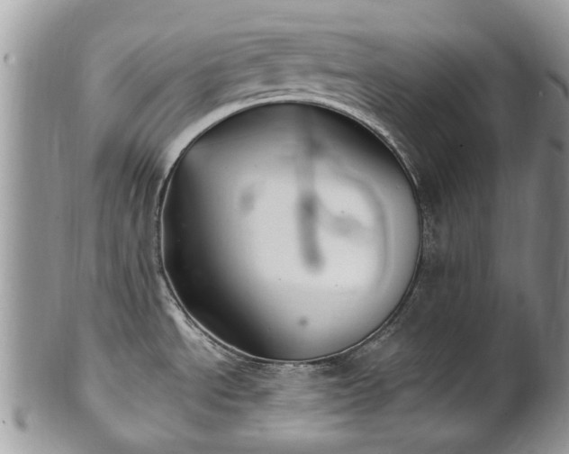 X0000101981534200807251222