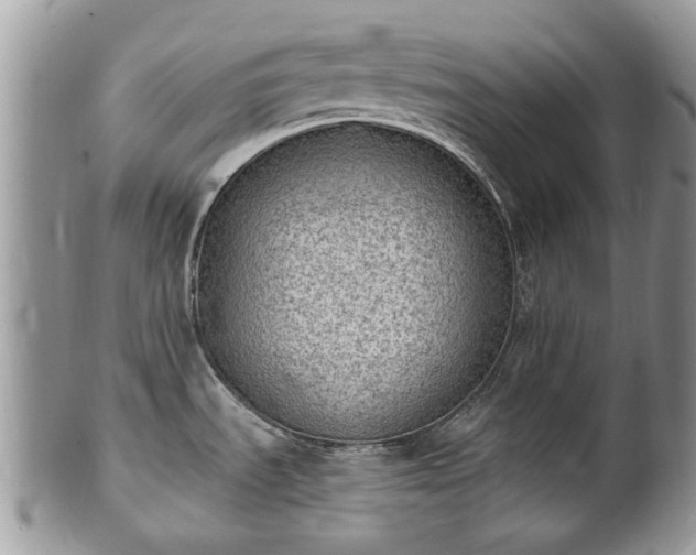 X0000101981535200807251222