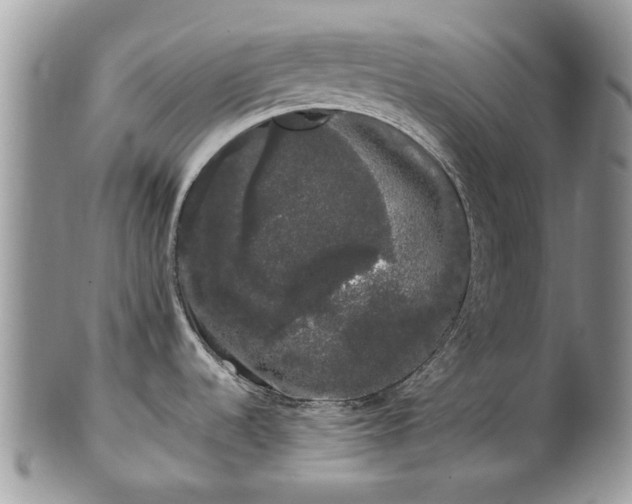 X0000101981536200807251222