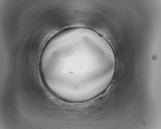 X0000101980001200808011110