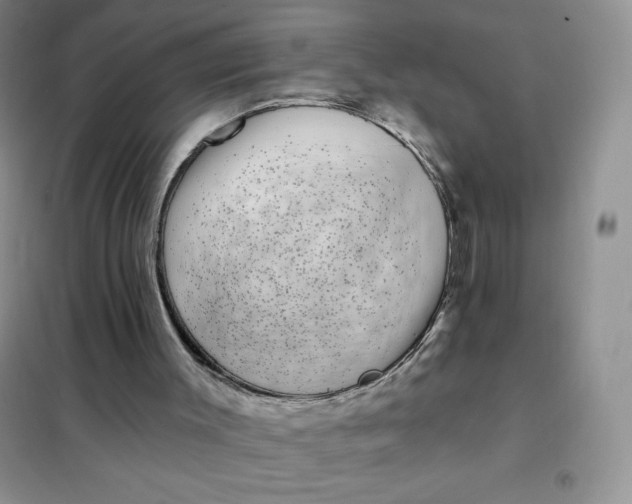 X0000101980003200808011110