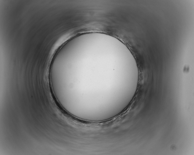 X0000101980004200808011110