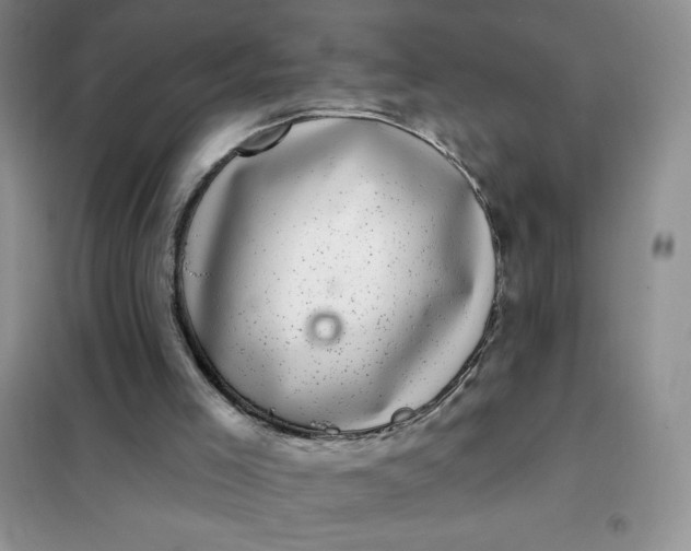 X0000101980005200808011110