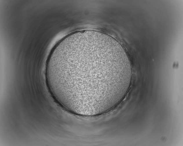 X0000101980006200808011110