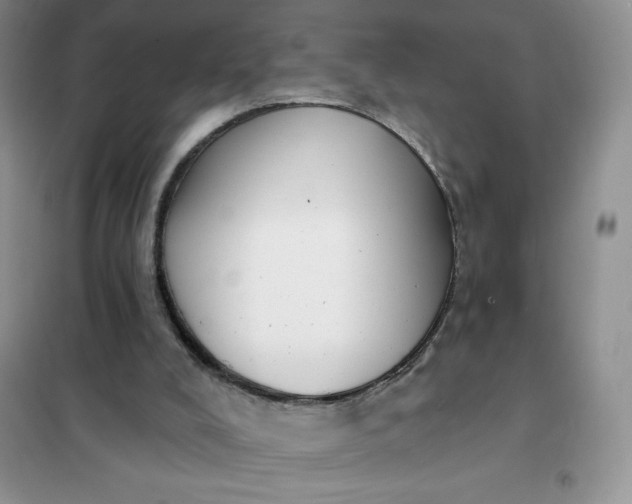 X0000101980008200808011110