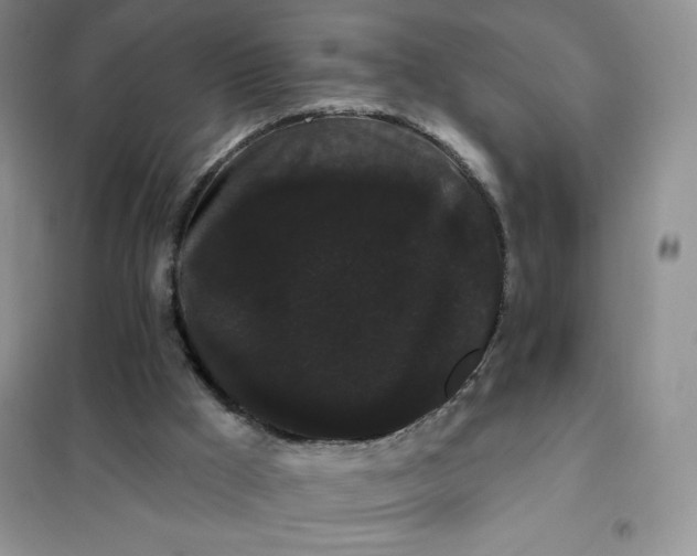 X0000101980009200808011110