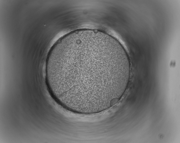 X0000101980011200808011110