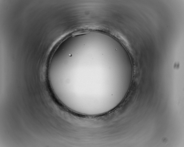 X0000101980012200808011110