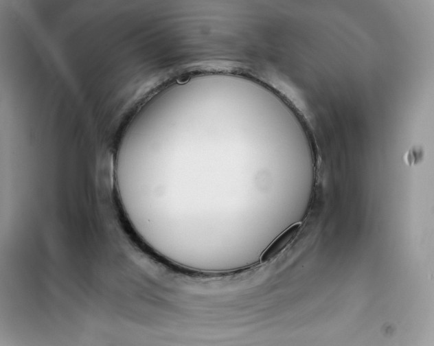 X0000101980013200808011110