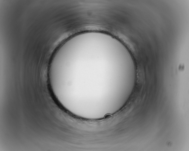 X0000101980015200808011110