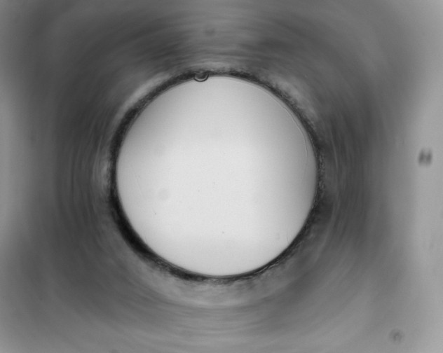 X0000101980016200808011110